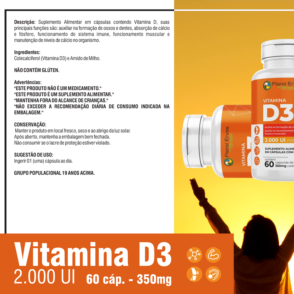 D3 ROTULO1