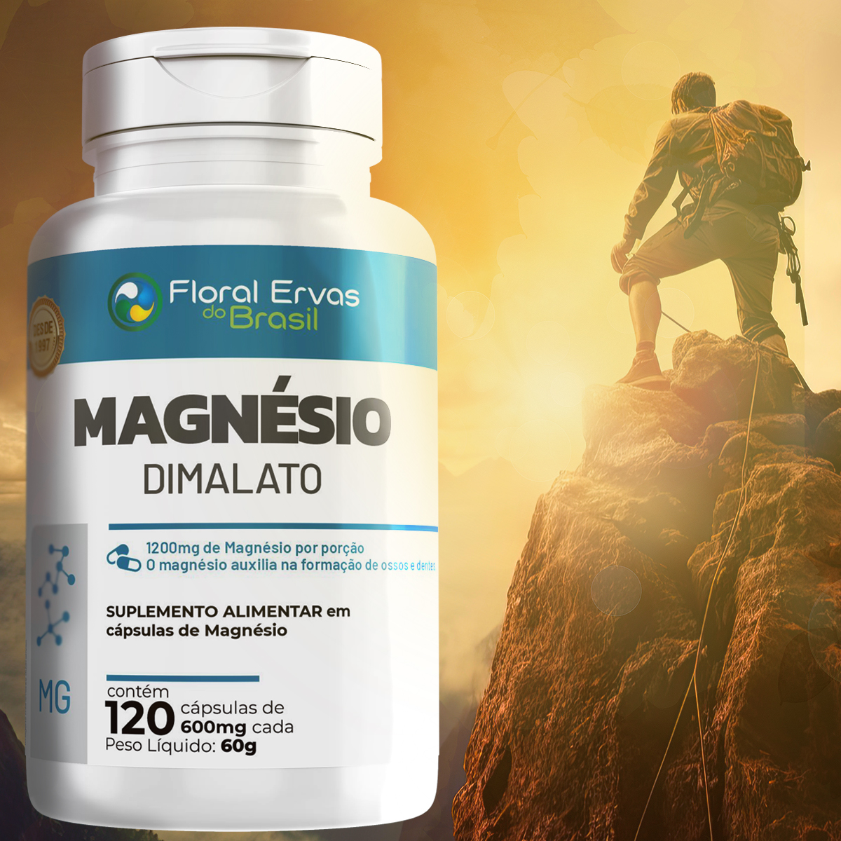 DIMALATO1 shopp